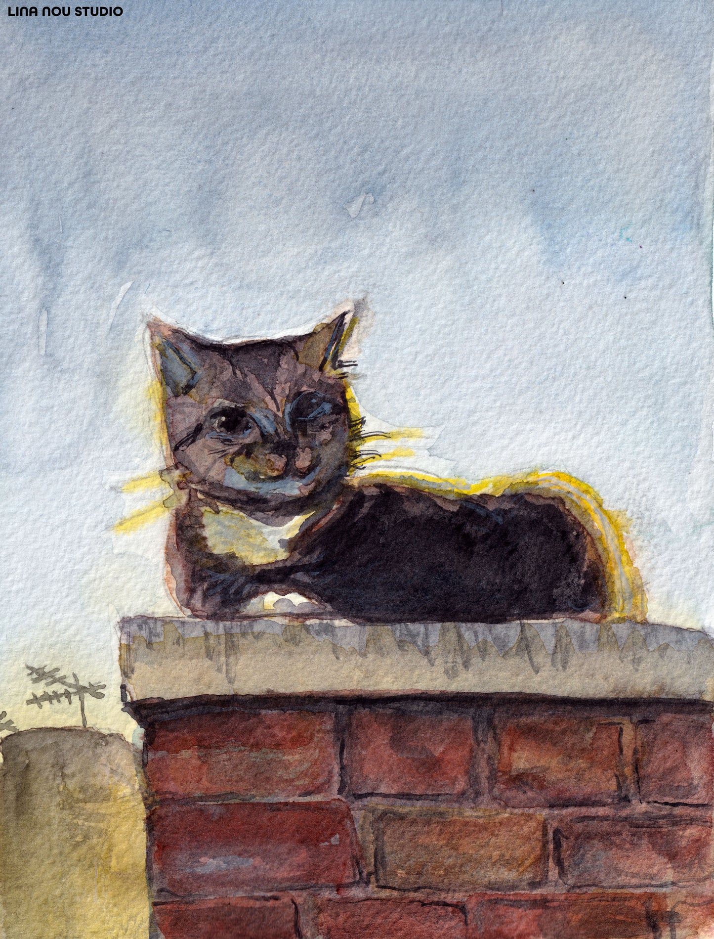 'Backlit Cat on a Wall' Card