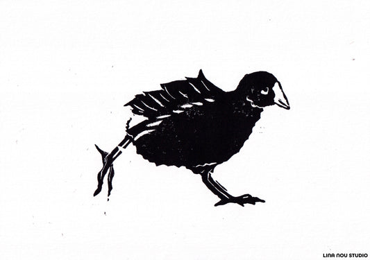 'Three Waterfowl: Moorhen' Lino Print (smooth paper)
