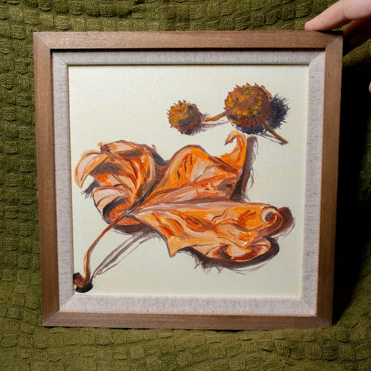 'Leaf & Pine Seeds 02' Framed Painting