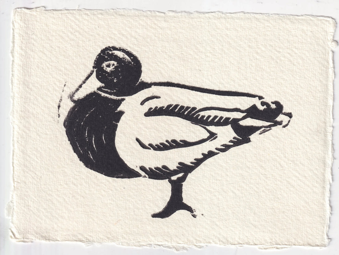 ‘Three Water Fowl’ print series accepted into Zine!