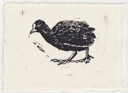 Coot Print Accepted for ‘Our Earth’ Exhibition