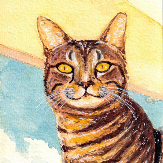 We’ve Been Mogged!