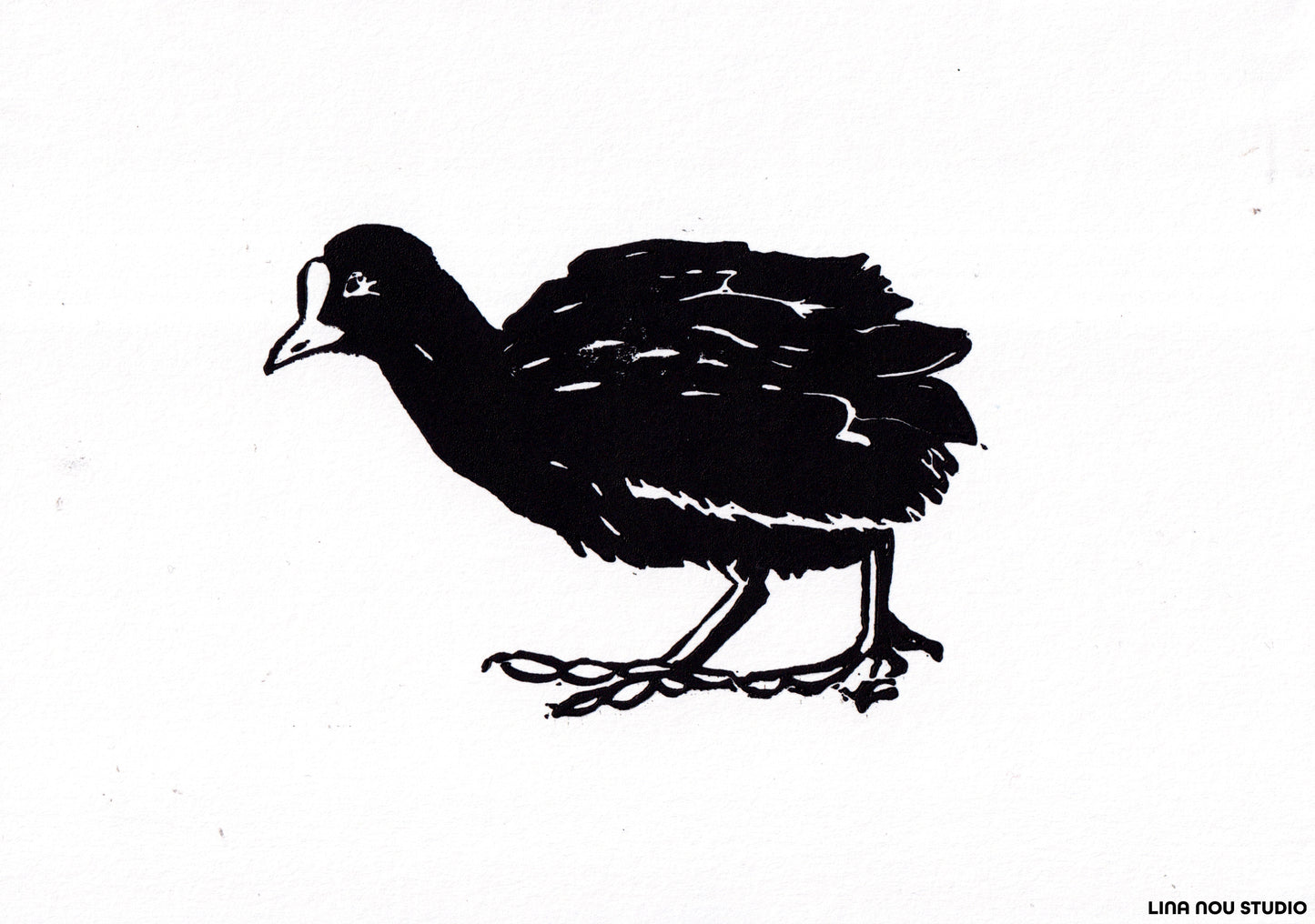 'Three Waterfowl: Coot' Lino Print (smooth paper)