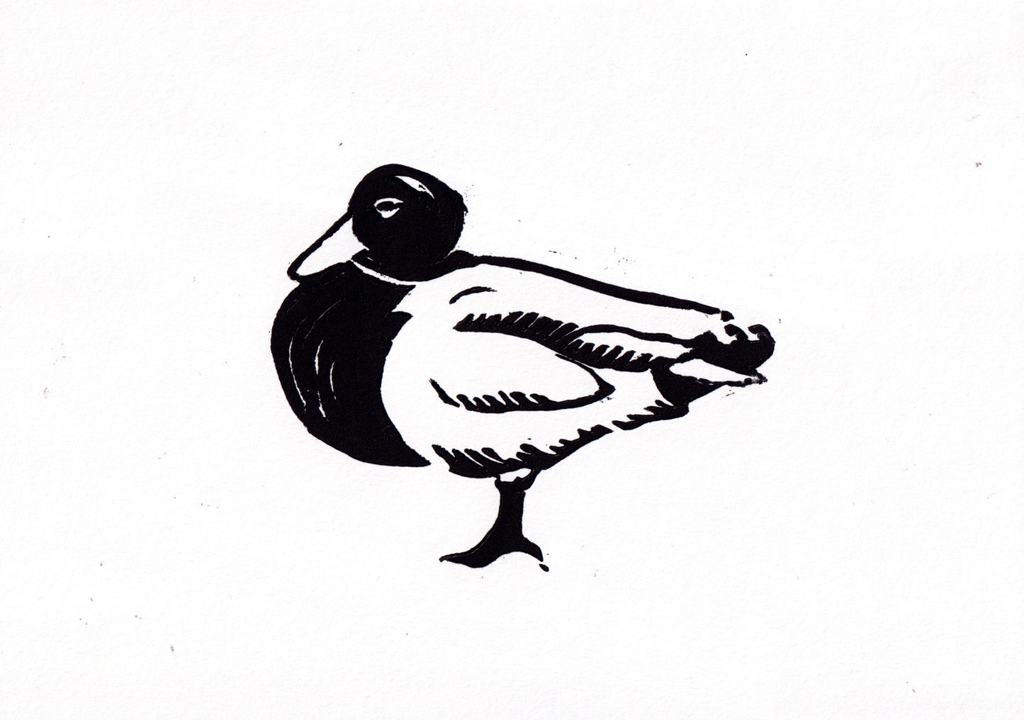 'Three Waterfowl: Duck' Open Edition Lino Print