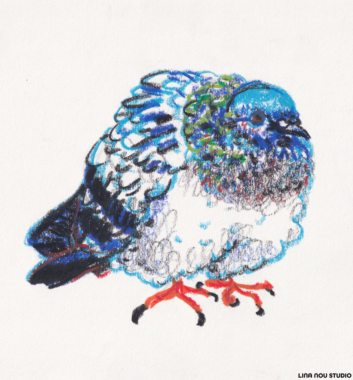 'Fluffed Up Pigeon' Pastel Drawing