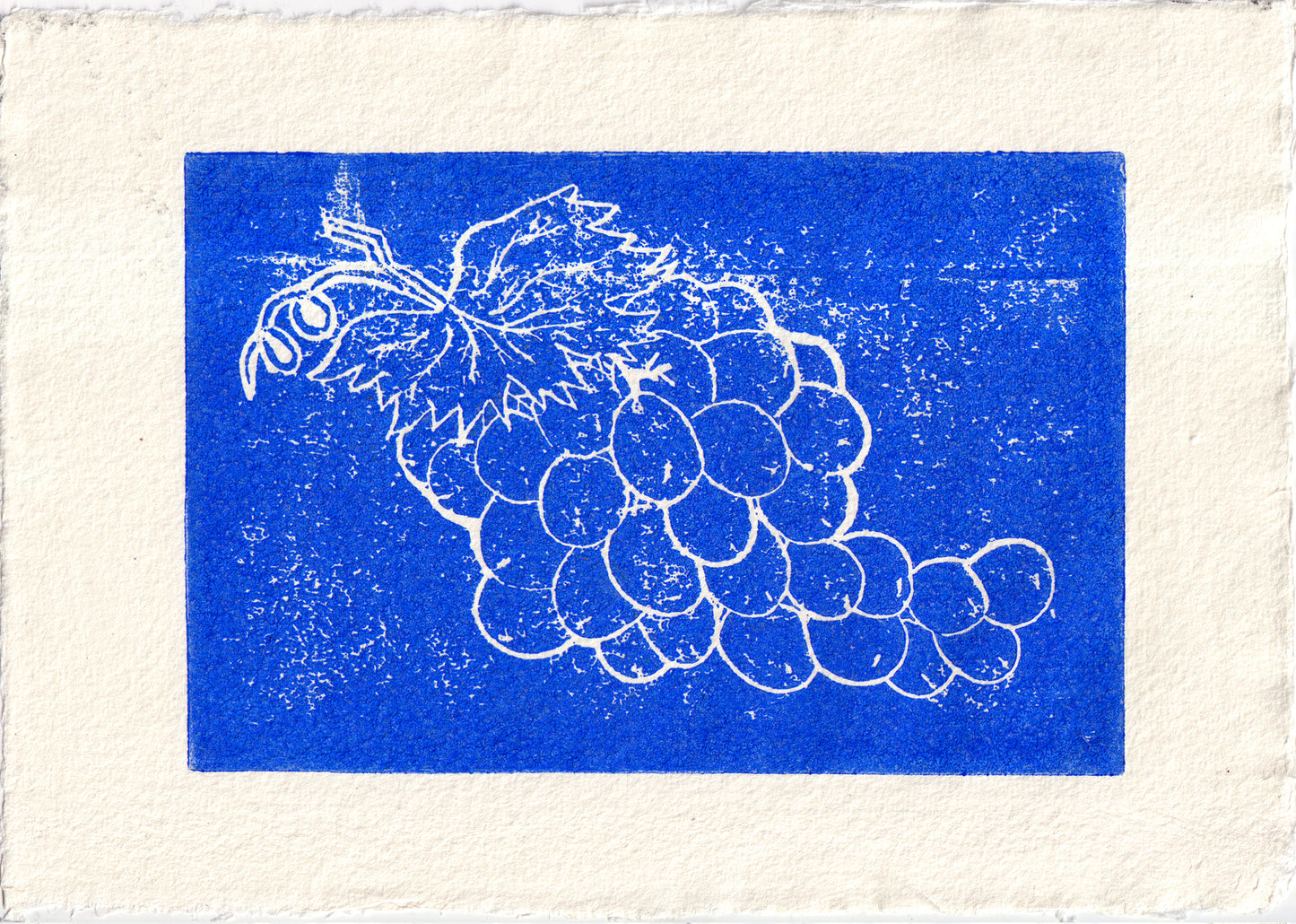 'Grapes on the Vine' Limited Edition Lino Print