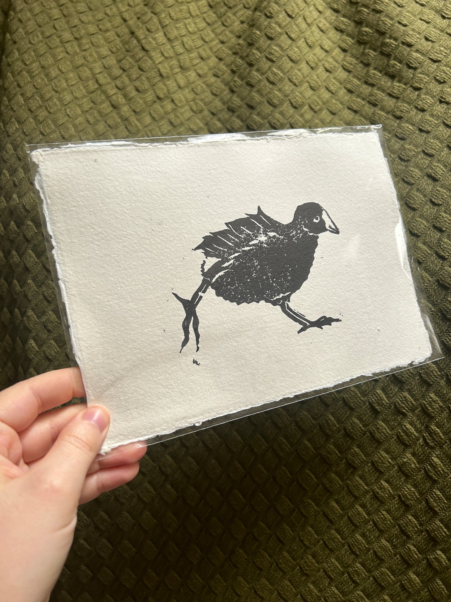 ‘Three Waterfowl: Moorhen' Lino Print (textured paper)