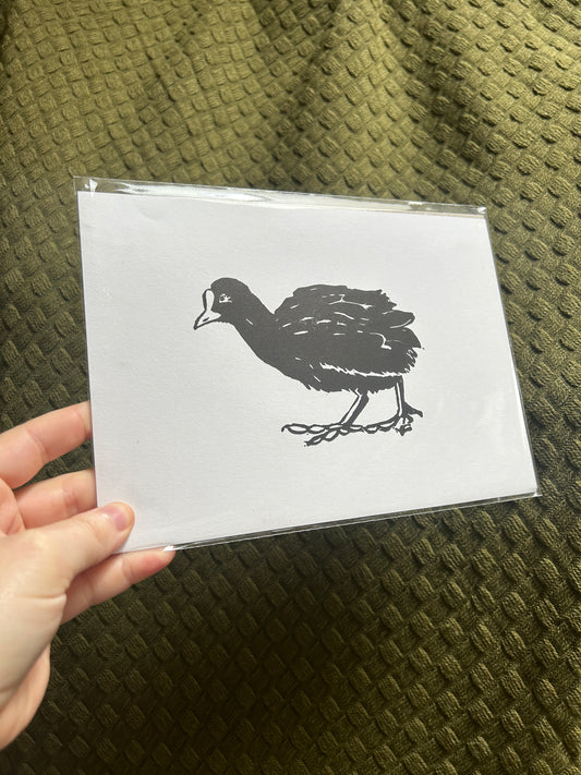 'Three Waterfowl: Coot' Lino Print (smooth paper)