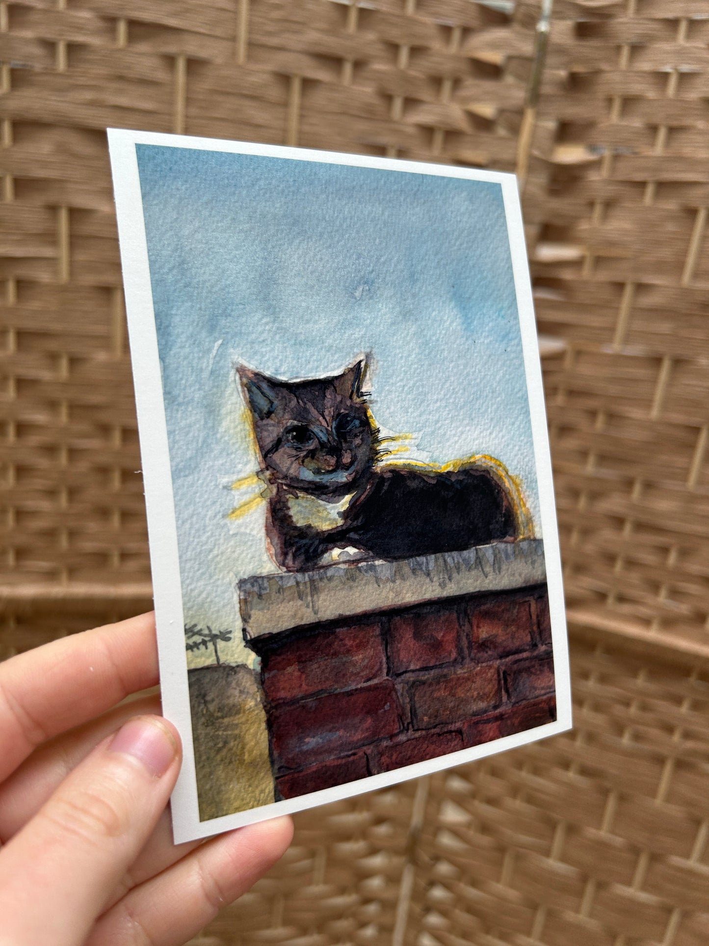 'Backlit Cat on a Wall' Card