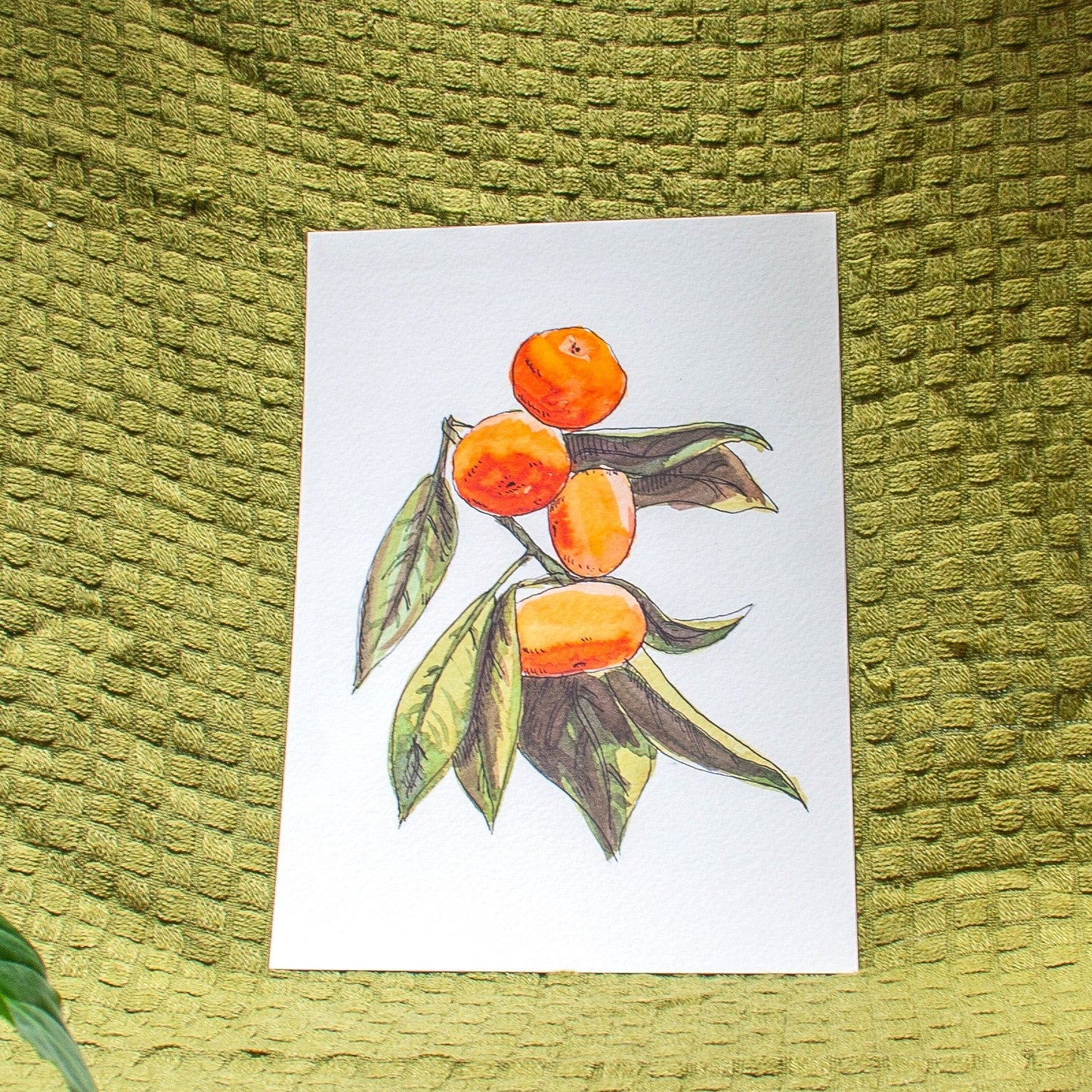 'Oranges & Orange Leaves' Giclée Art Print