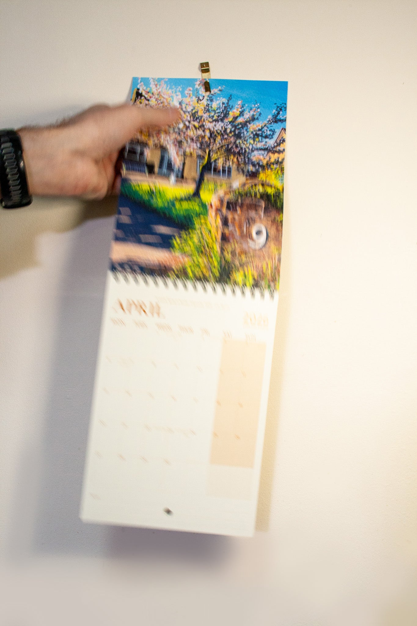 Calendar: Landscapes & Places (2026)