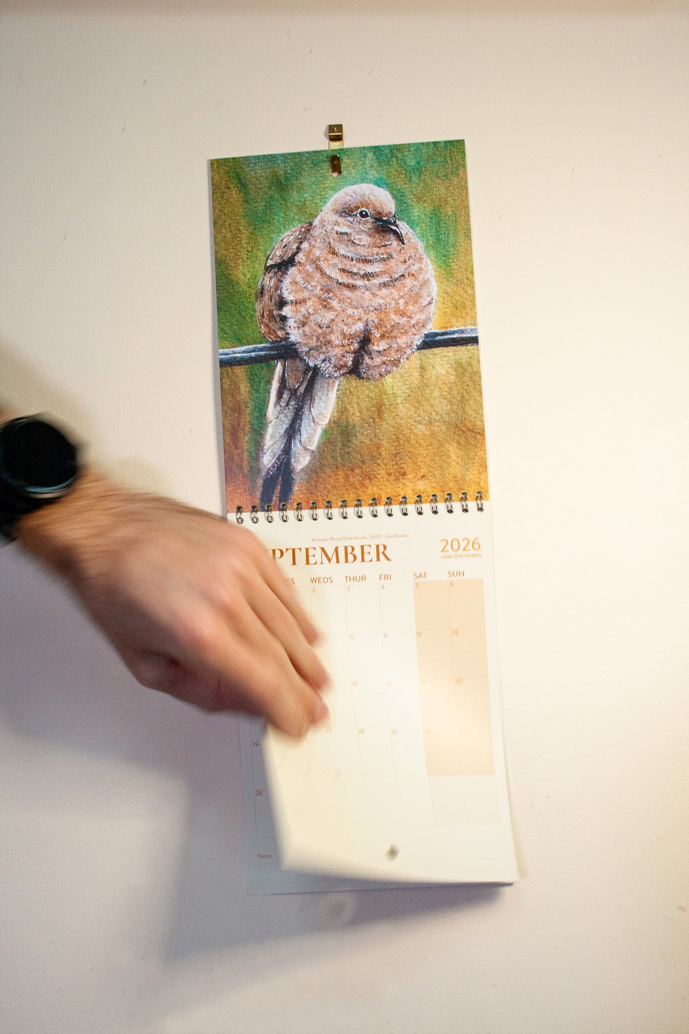 Calendar: Flowers & Birds (2026)