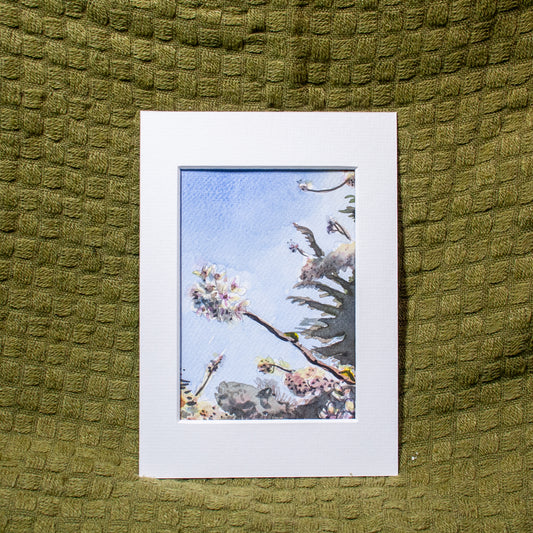 'Kew Gardens Cherry Blossoms' Mounted Painting
