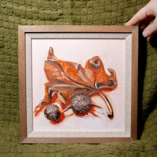 'Leaf & Pine Seeds 01' Framed Painting