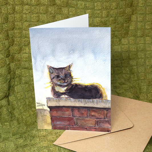 'Backlit Cat on a Wall' Card